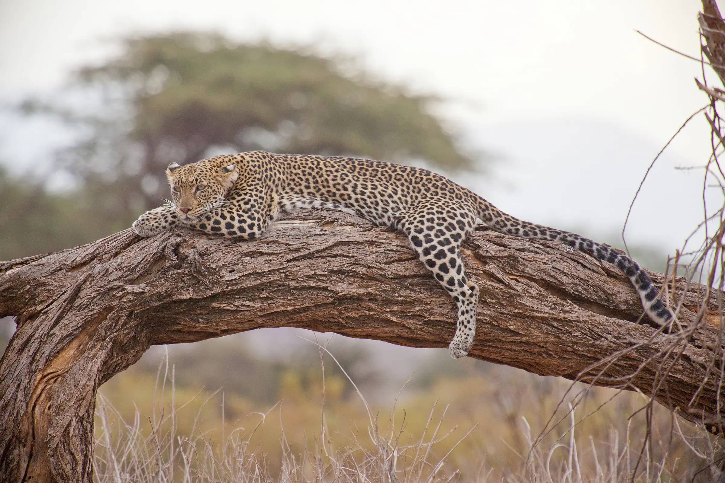 Planning Your Victoria Falls Trip: What Has Changed