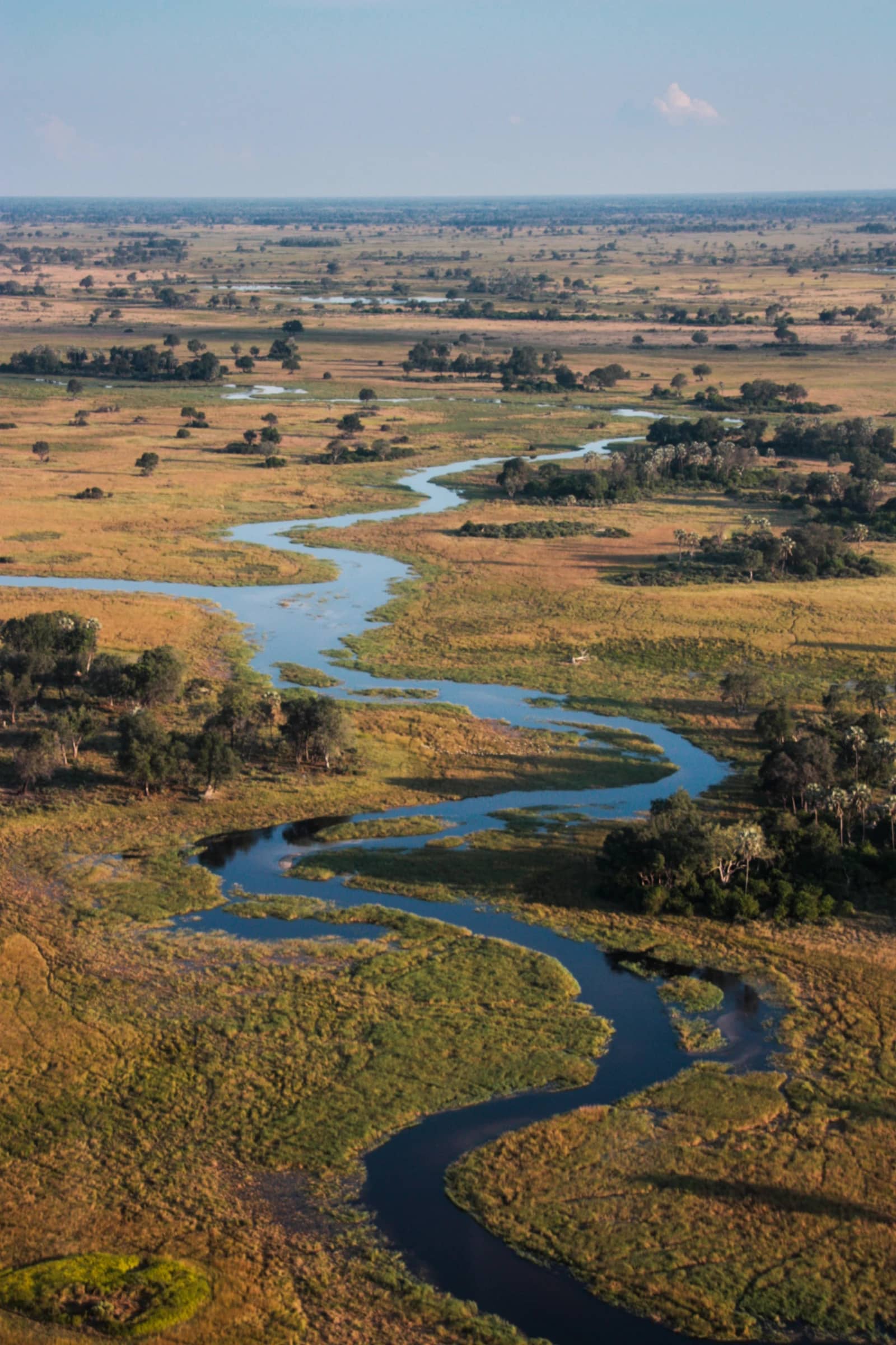 Okavango Delta